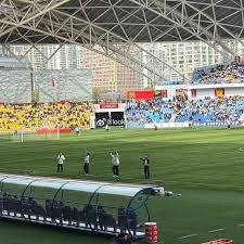 美国足球的崛起与挑战：世界杯背后的故事